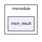 msmodule/msm_result/
